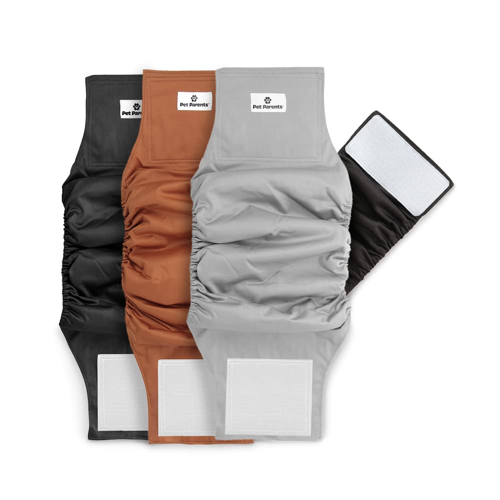 Bandes ventrales Pet Parents naturels, lot de trois, pratique et économique.