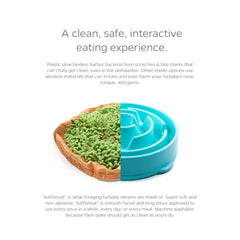 Pet Parents Forager bol anti-derapant Meadow Natural pour repas sans dégât.