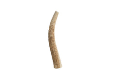 Pet Parents Gnawtlers – corne d’élan naturelle, divertissement durable pour chien.