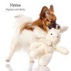 Pet Passion - remplissage noix de coco pour douceur durable et stimulation mentale.