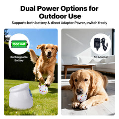 Adaptateur secteur Pet Prime pour alimentation continue.