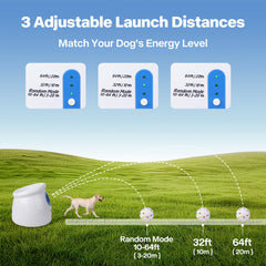 Pet Prime balles e-TPU 2,5 pouces, légères et durables pour les jeux.
