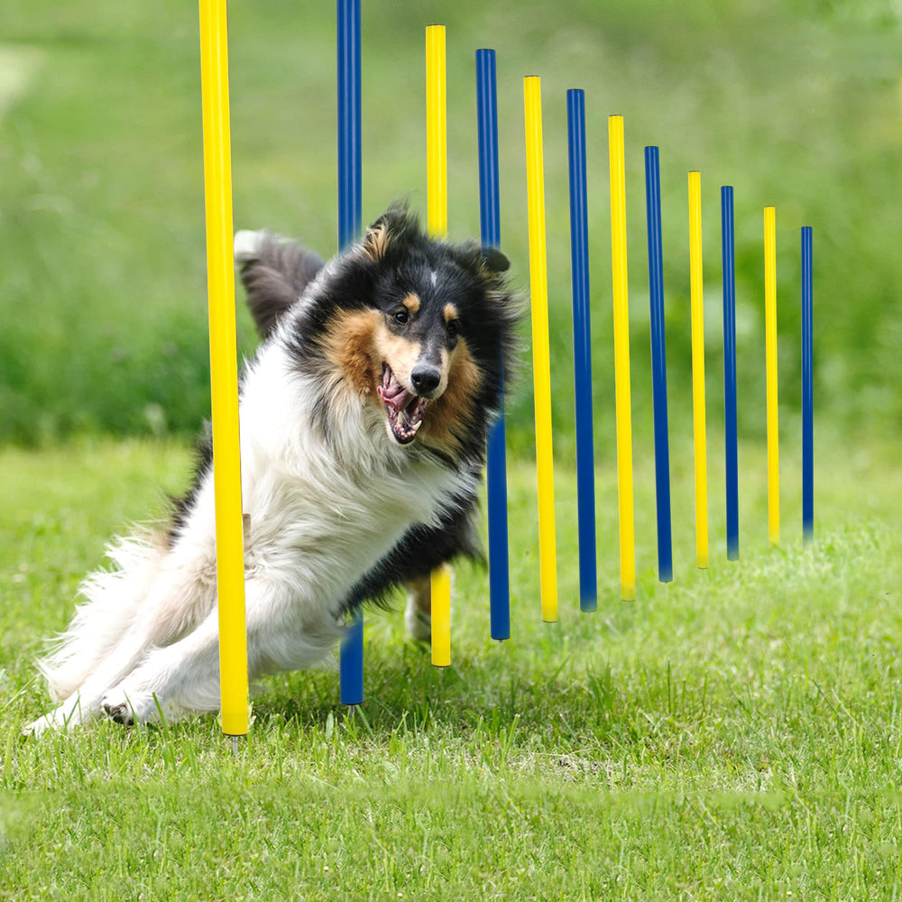 Poteaux d'entraînement Pet Prime 12 pièces pour l'agilité du chien