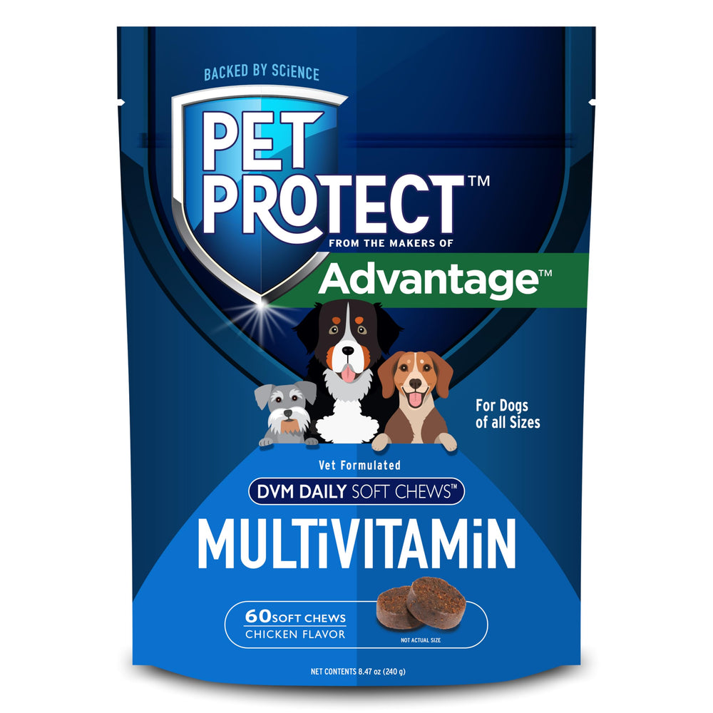 Pet Protect multivitamine pour chien, photo-pack: soutien quotidien pour chiens actifs