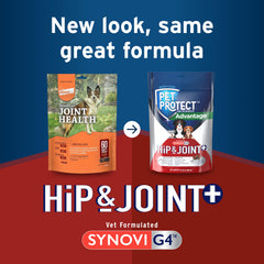 Pet Protect Synovi G4: ingrédients pour articulation et flexibilité.