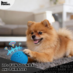 Pet Qwerks Babble Ball construction-durable-abs, résistante aux mâchonnements.