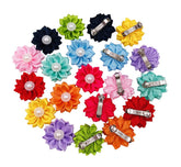 PET SHOW noeud-fleur petit-chien barrette française pour une allure chic.