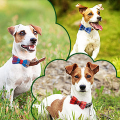 PET SHOW noeud-papillon taille petits-moyens pour animaux
