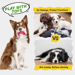 Jouet chien interactif Pet Soft, idéal pour variations de jeux et dégustations d’énergie.