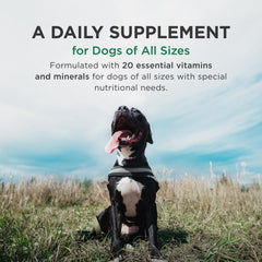 Pet-Tabs Plus: emballage fabriqué aux États-Unis, garantissant qualité et sécurité.