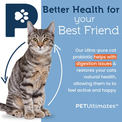 Poudre probiotique Pet Ultimates pour chats avec doseur pour dosage précis.