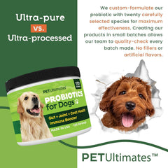 Chien au pelage brillant après Pet Ultimates Probiotiques.