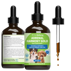Flacon Pet Wellbeing Adrenal Harmony Gold, présentation claire et pratique pour chiens.
