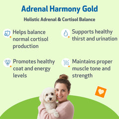 Pet Wellbeing Adrenal Harmony Gold — pipette prête pour dosage quotidien.