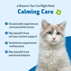 Pet Wellbeing Calming Care – gouttes faciles à administrer pour le chat