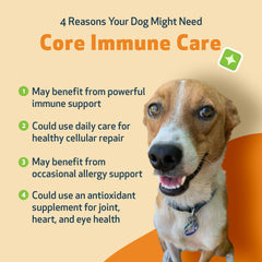 Pet Wellbeing Core Immune Care – Poudre: texture facile à mélanger dans la nourriture.