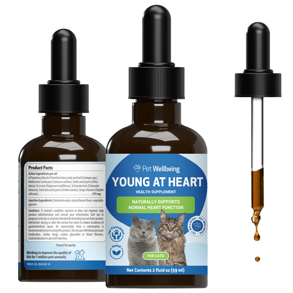 Pet Wellbeing Jeune au Cœur pour Chats — bouteille 60 ml avec compte-gouttes, administration facile.