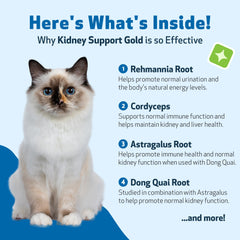 Pet Wellbeing Kidney Support Gold – Saveur bacon: goût attrayant facilitant l’usage quotidien.