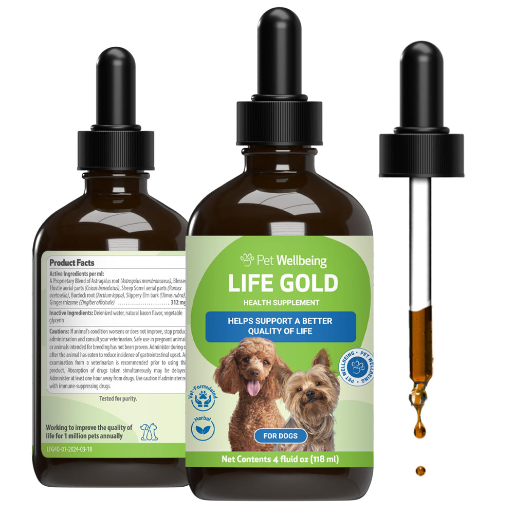 Pet Wellbeing Life Gold – bouteille liquide prête à soutenir l’immunité et l’énergie canine.