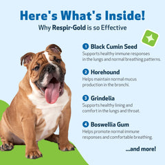 Respir-Gold – ingrédients clés cumin noir et horehound pour le soutien pulmonaire.