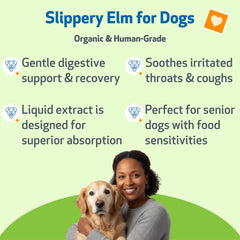 Gouttes Pet Wellbeing Slippery Elm avec pipette, administration facile.