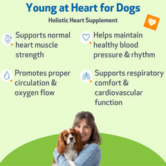Pet Wellbeing dose liquide, circulation saine pour chien âgé.