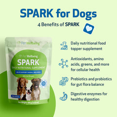 Ingrédients clés Pet Wellbeing Spark Daily: probiotiques, prébiotiques et enzymes