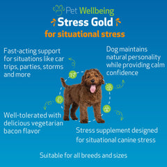 Stress Gold Pet Wellbeing: gouttes versées facilement, timing précis avant trajets en voiture.