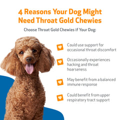 Chien content mâchant Pet Wellbeing Throat Gold Chewies