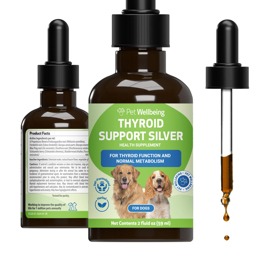 Bouteille Pet Wellbeing Thyroid Support Silver prête à soutenir l'énergie et le métabolisme chez le chien