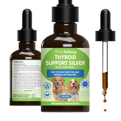 Bouteille Pet Wellbeing Thyroid Support Silver prête à soutenir l'énergie et le métabolisme chez le chien