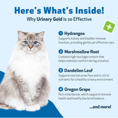 Herbes utilisées dans Pet Wellbeing Urinary Gold pour soutenir les voies urinaires