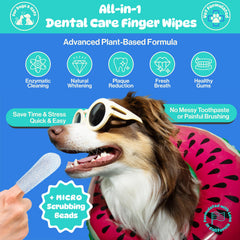 Lingettes dentaires Pet Wipe Pals pour chats, gencives saines et sourire éclatant.