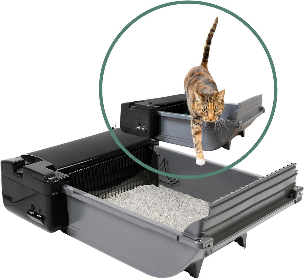 Pet Zone semi-auto litière pour deux chats, nettoyage pratique.
