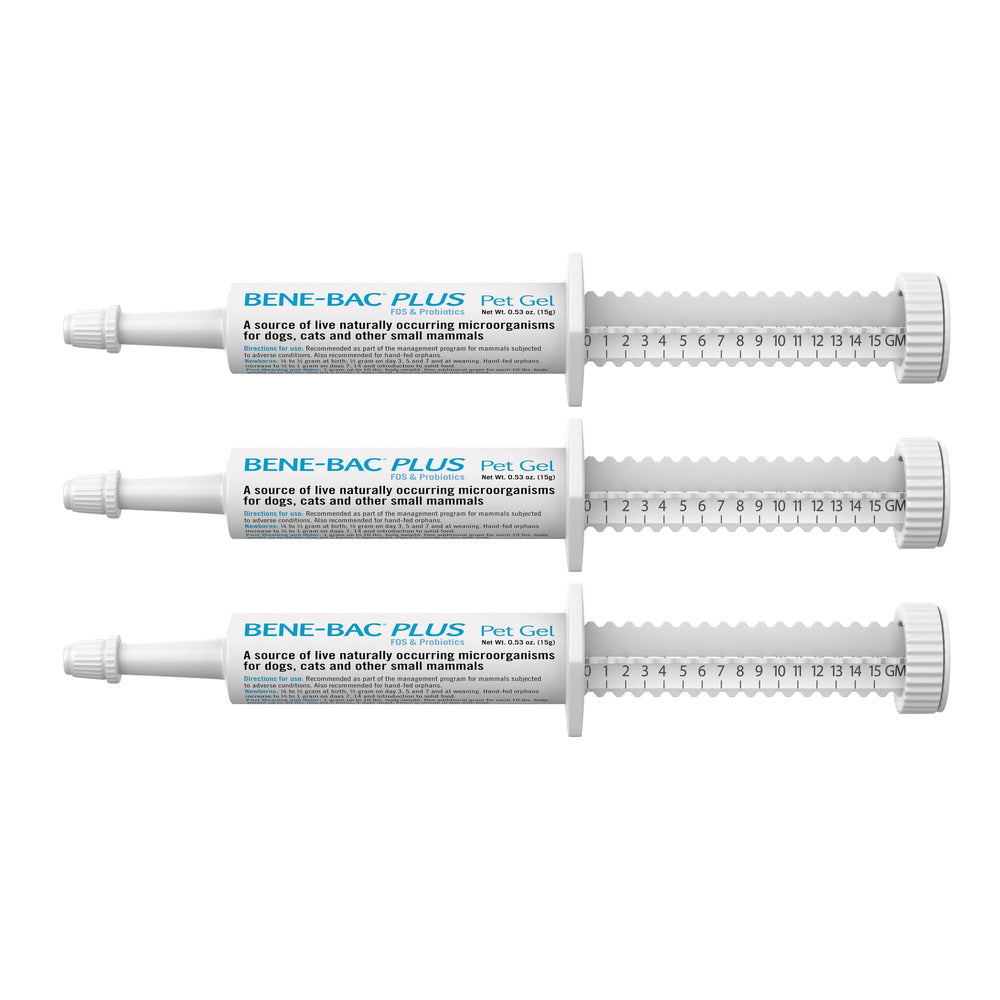 Bene-Bac Plus PetAg en gel-seringue 15 g pour chiens et chats.