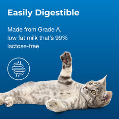 Cat-Sip PetAg : chat boit facilement, moment de douceur