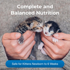 Chatons en train de digérer le lait KMR PetAg, soutien potentiel à la digestion.