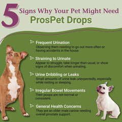 ProsPet Gouttes PetAlive: dosage facile pour le confort urinaire du chien.
