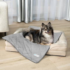 PetAmi protection du mobilier contre poils et griffures pour animaux.