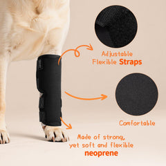 Petanims orthèse patte avant néoprène léger et confortable