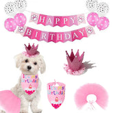 Chapeau anniversaire Petank pour chien, rose et élégant, confort optimal.
