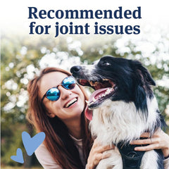 Emballage PetArmor de 120 comprimés, pratique pour chien de grande taille.
