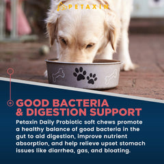 Petaxin Probiotiques chien – bouchées molles goût poulet et faciles à administrer