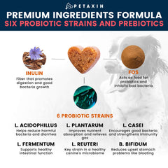 Petaxin Probiotiques chien – aide potentielle à la digestion et au confort digestif