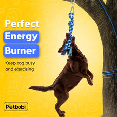 Ressort inox Petbobi bungee absorbant les chocs et durable.