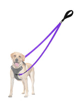 PetBonus: deux points de contrôle pour diriger le chien sans tirer.