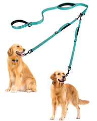 Laise PetBonus double-chien sans enchevêtrement pour une promenade fluide.