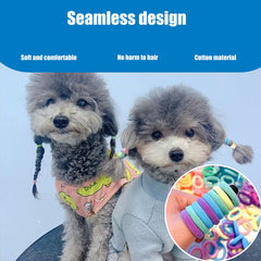 Bandes Petbuy pratiques pour animaux petits et usage quotidien.