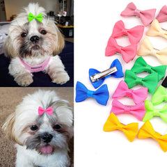 Petbuy nœud Noël chien bleu pâle, parfait pour les fêtes.