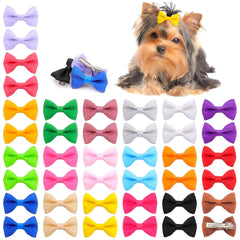 Petbuy nœud Noël chien, accessoire élégant pour photos festives.